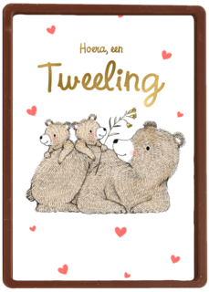 Tweeling geboortefelicitatie 2 lieve beertjes