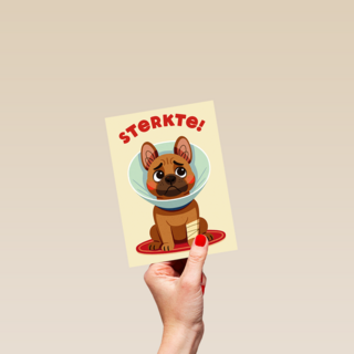 Beterschap Hond Gebroken Poot