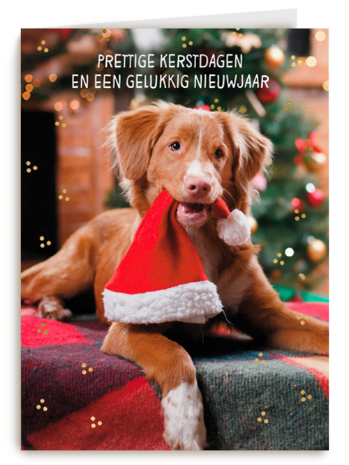 Kerstkaart klassiek Hond met kerstmuts