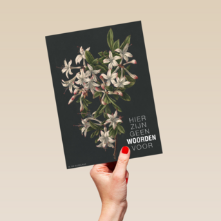 hier zijn geen woorden voor bloemen