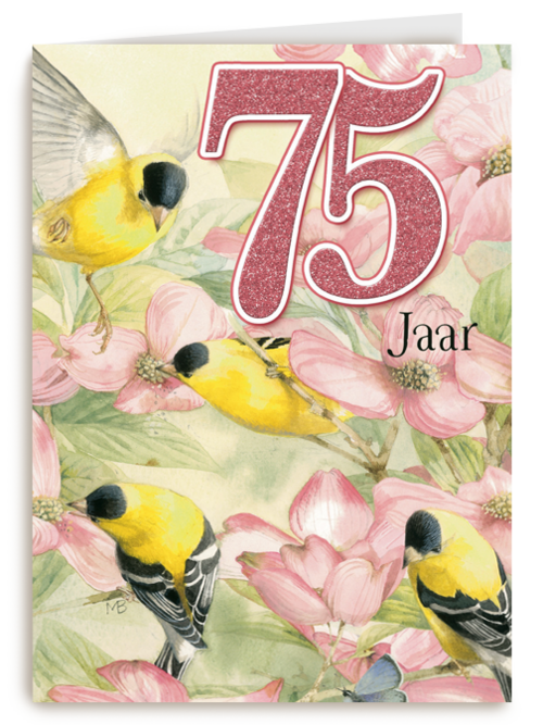 Verjaardagskaart Hallmark | Verjaardag Leeftijden Marjolein Bastin 75