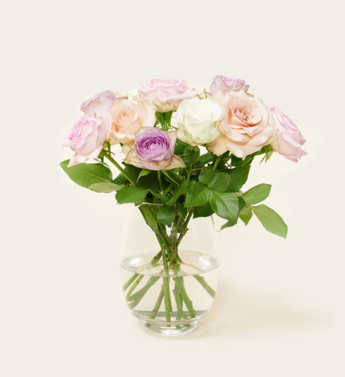 Brievenbusbloemen Rozen Pastel Crush