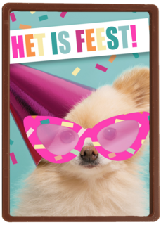 het is feest met hond met bril en hoed