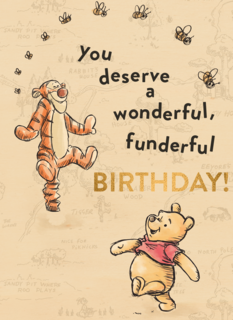 Winnie en Tijgertje wonderful birthday