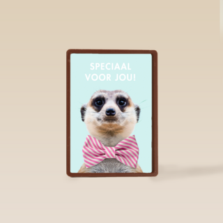vaderdag kaart hip speciaal voor jou stokstaartje met strik