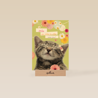 een snoezepoesje voor jou