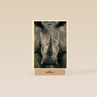 blanco kaart neushoorn