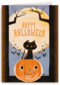 Happy Halloween Cat Pumpkin