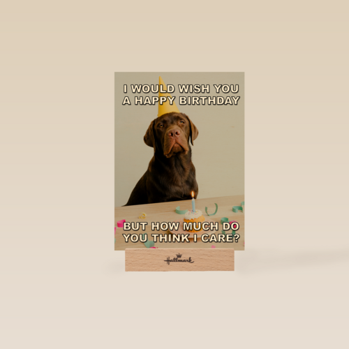 verjaardagskaart met hond met feesthoed