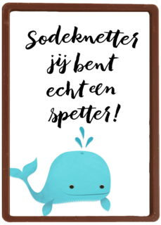 jij bent echt een spetter