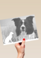 fotokaart veel sterkte verlies huisdier hond