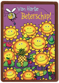 beterschap zonnebloem