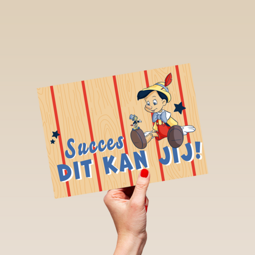 Pinocchio succes kaart dit kan jij