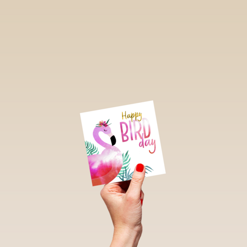 happy bird day van een pelikaan