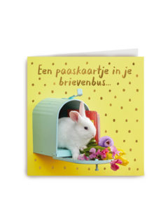 Paaskaart konijntje in brievenbus