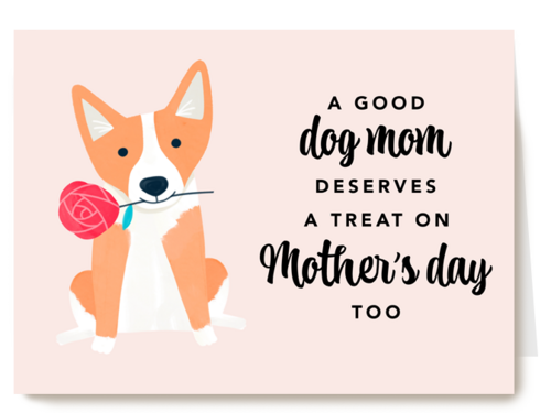 A good dog mom deserves a treat on Mothers Day too