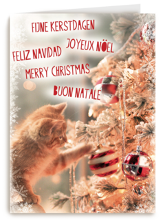meertalig kat en kerstboom