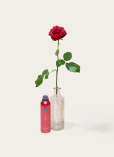 Single Roos Rood Met Vaas en Ayurveda Foam
