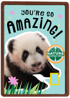 verjaardag kaart pandabeer