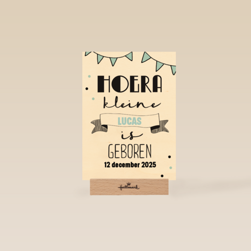 hoera een kleine prins is geboren
