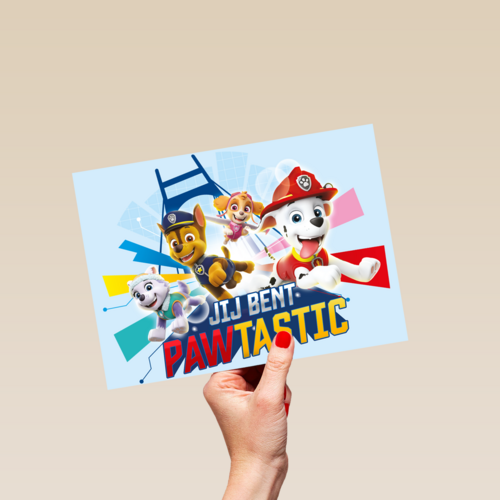 Paw Patrol kaart jij bent fantastisch