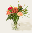 Brievenbusbloemen Oranje Herfst