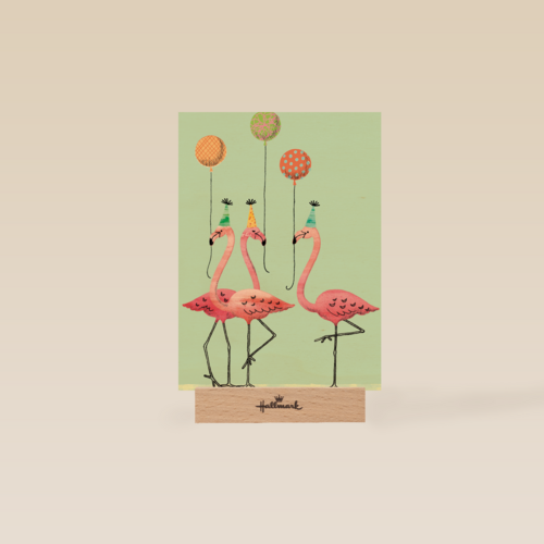 Flamingo Party