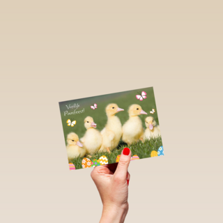 vrolijk passfeest eendjes kaart