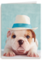 hond met hoed op