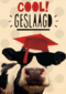examen cool geslaagd koe