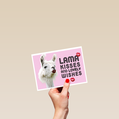 lama kisses and wishes