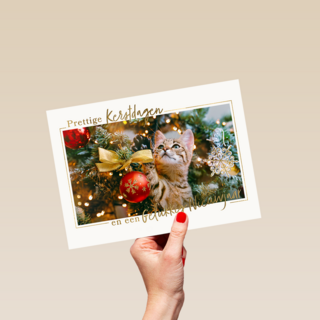 Kat tussen kerstballen