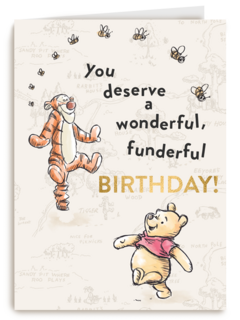 Winnie en Tijgertje wonderful birthday