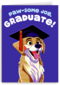 Folio Pawsome Job Graduate