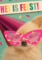 het is feest met hond met bril en hoed