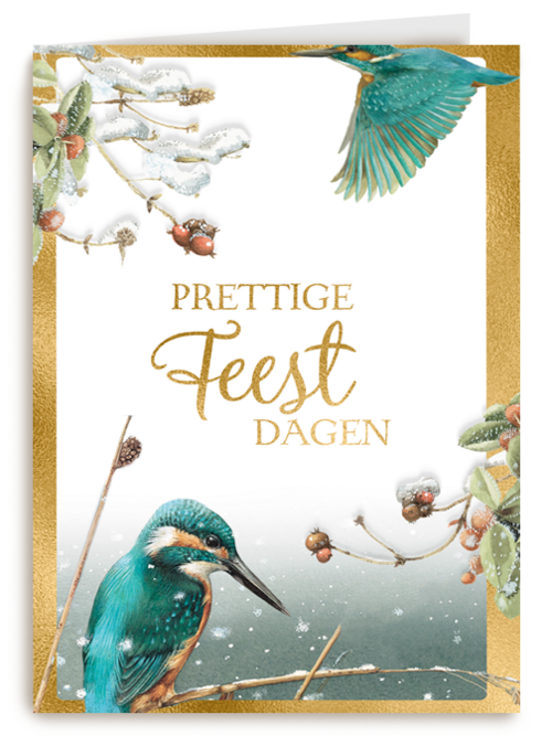 Kerstkaart marjolein bastin ijsvogel