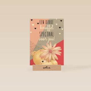 valentijnkaart een dikke knuffel speciaal voor jou