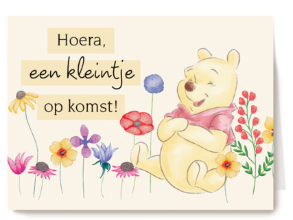 Winnie de Poeh kleintje op komst