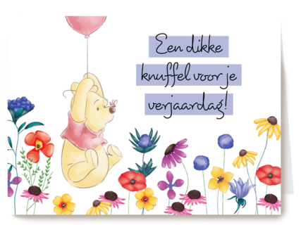 Winnie de Poeh dikke knuffel