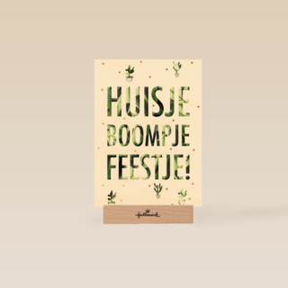 huisje boompje feestje