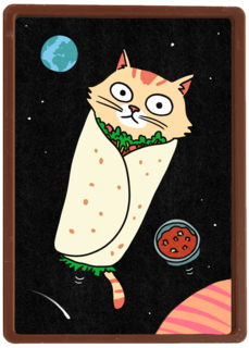 Grappige verjaardagskaart Purrito