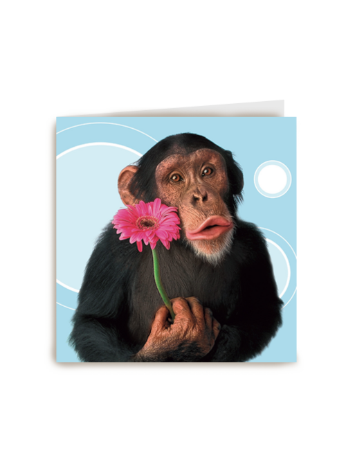 dierendag aap met bloem