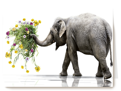 Chromazone Olifant boeket