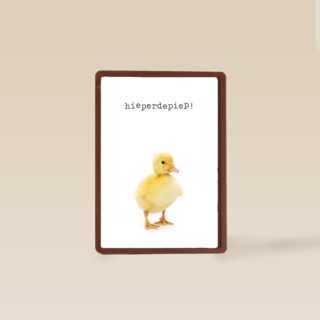 Verjaardagskaart eendje furry cuddles