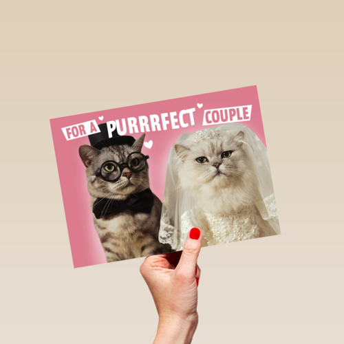 for a purrrfect couple