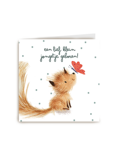 Geboortefelicitatie een lief klein jongetje