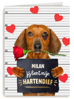 valentijn kaart hond jij bent mijn hartendief