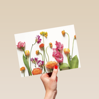 veldbloemen