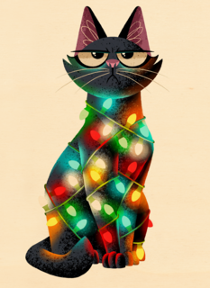 kerstkaart grappig kat met kerstlichtjes folio