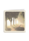 morning forest